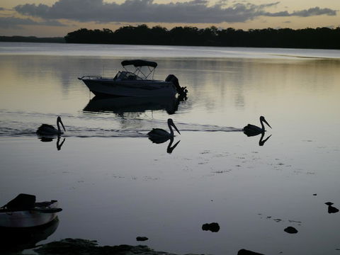 Dungowan Holiday Accommodation - Accommodation 4U 41