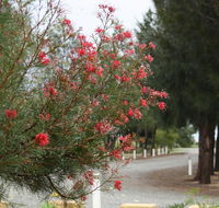The Heights Bed  Breakfast - Accommodation 4U