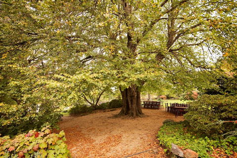 Nesuto Leura Gardens (formerly Waldorf Leura Gardens Resort) - Accommodation 4U 1