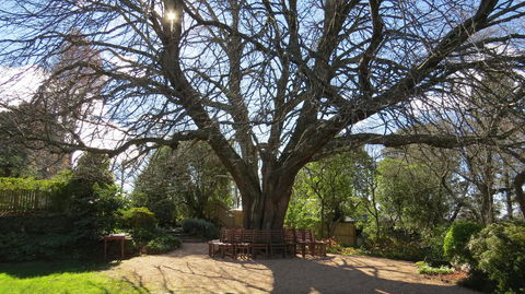 Nesuto Leura Gardens (formerly Waldorf Leura Gardens Resort) - Accommodation 4U 3