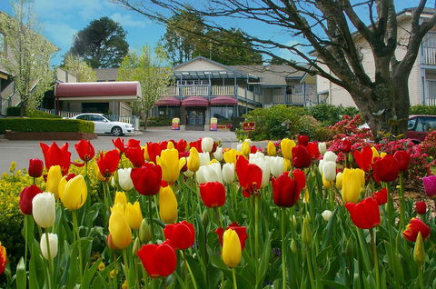 Nesuto Leura Gardens (formerly Waldorf Leura Gardens Resort) - Accommodation 4U 0