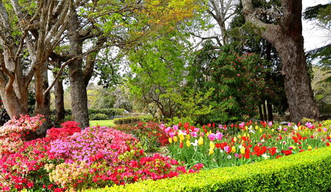 Nesuto Leura Gardens (formerly Waldorf Leura Gardens Resort) - Accommodation 4U 8