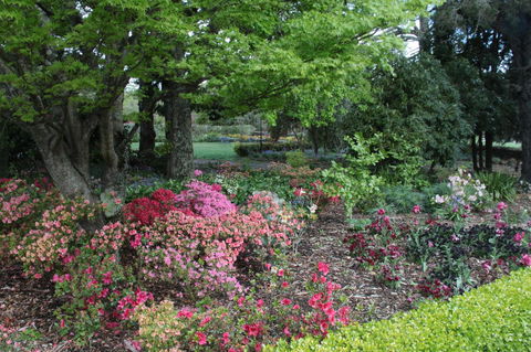 Nesuto Leura Gardens (formerly Waldorf Leura Gardens Resort) - Accommodation 4U 2