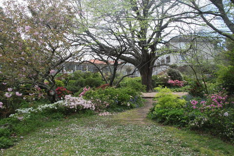 Nesuto Leura Gardens (formerly Waldorf Leura Gardens Resort) - Accommodation 4U 4