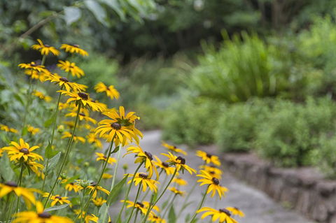 Nesuto Leura Gardens (formerly Waldorf Leura Gardens Resort) - Accommodation 4U 16