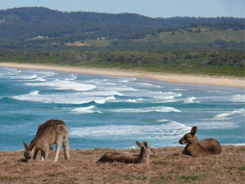 High Tide At Emerald - Accommodation 4U 13