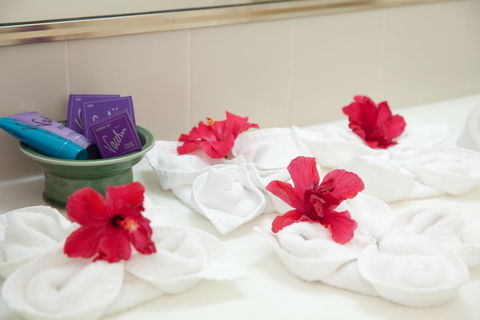 Kempsey Rose Motor Inn - Accommodation 4U 14