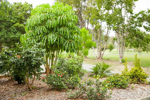 Kempsey Rose Motor Inn - Accommodation 4U 42