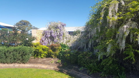 Almond Inn - Accommodation 4U 28