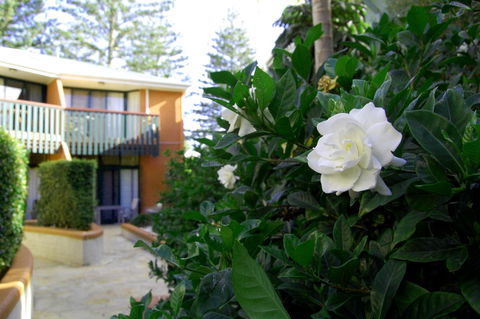 The Crest Byron Bay - Accommodation 4U 29