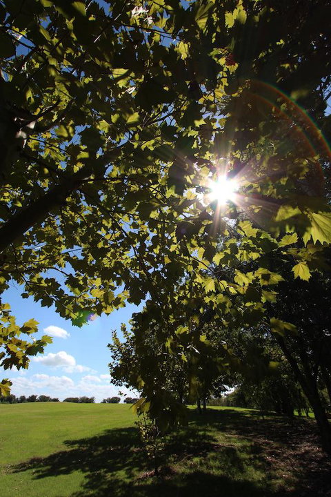 Crowne Plaza Hawkesbury Valley, An IHG Hotel - Accommodation 4U 43