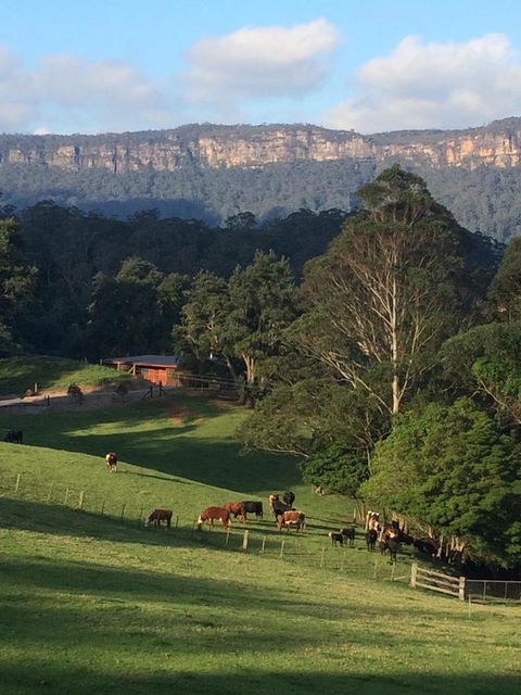 Amaroo Valley Springs - Accommodation 4U 0