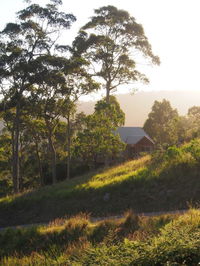 Book Bawley Point Accommodation Vacations Accommodation 4U Accommodation 4U