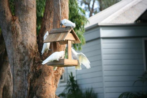 Huskisson Holiday Motel Cabins - Accommodation 4U 29