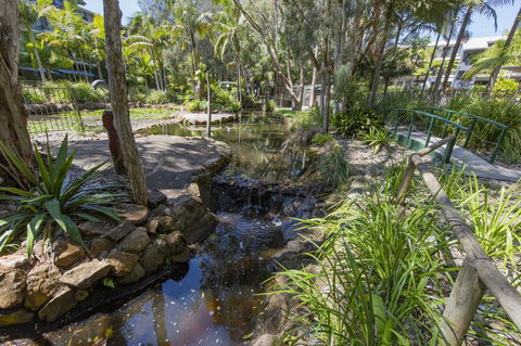Flynns Beach Resort - Accommodation 4U 13