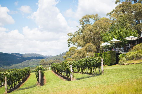 Borrodell Vineyard - Accommodation 4U 12