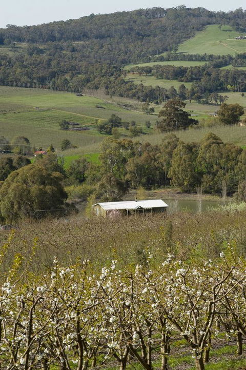 Borrodell Vineyard - Accommodation 4U 30