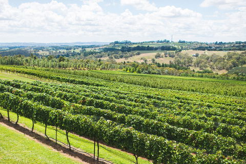 Borrodell Vineyard - Accommodation 4U 29