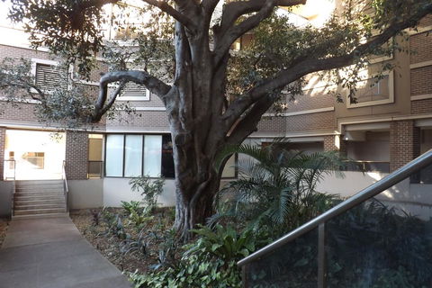 Fiori Apartments - Accommodation 4U 32