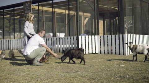 The Woods Farm Jervis Bay - Accommodation 4U 14