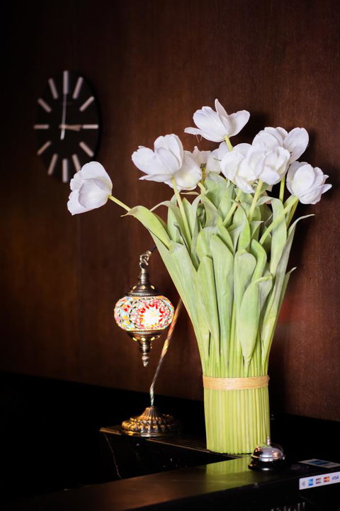 Kirketon Hotel Sydney - Accommodation 4U 24