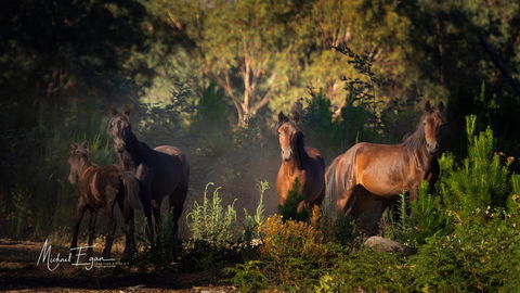 Pound Creek Gallery - Accommodation 4U 18