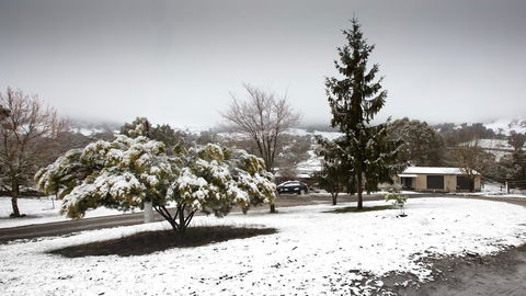 Pound Creek Gallery - Accommodation 4U 8
