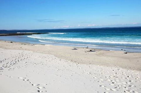 Jervis Bay Beach Shack I Pet Friendly - Accommodation 4U 16