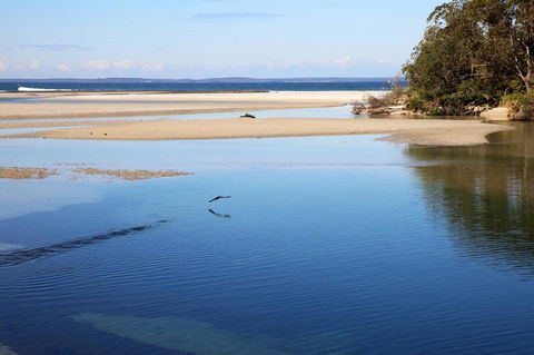 Jervis Bay Beach Shack I Pet Friendly - Accommodation 4U 19