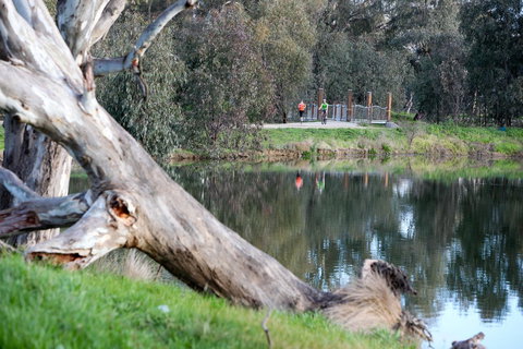 Mercure Albury - Accommodation 4U 15