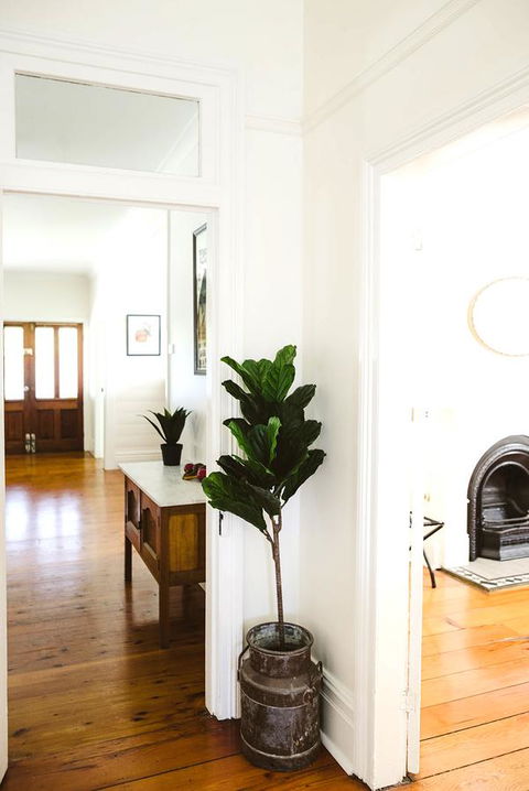 Morpeth Cottage - Accommodation 4U 3