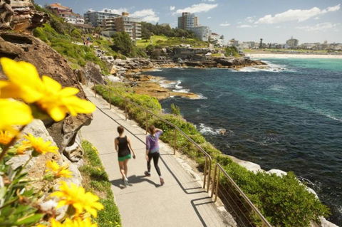 BONDI BEACH PRIME 1 Bedroom + Sunroom - Accommodation 4U 16