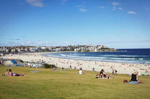BONDI BEACH PRIME 1 Bedroom + Sunroom - Accommodation 4U 11