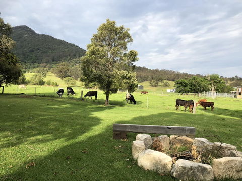 Arcadia - The Barn Cottage & Rosehill Cottage - Accommodation 4U 29