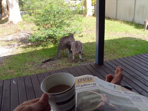 Bush & Bay Cottage - Accommodation 4U 29