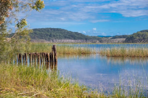 Cabarita Lake Apartments - Accommodation 4U 11