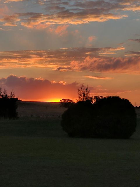 Madigan Wine Country Cottages - Accommodation 4U 13