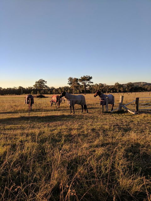Madigan Wine Country Cottages - Accommodation 4U 8