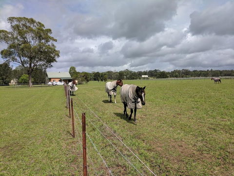 Madigan Wine Country Cottages - Accommodation 4U 9