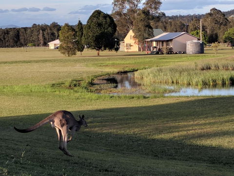 Madigan Wine Country Cottages - Accommodation 4U 6