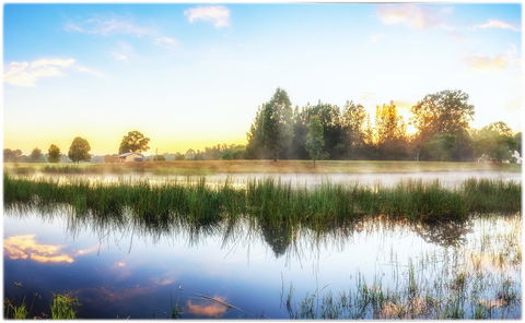 Madigan Wine Country Cottages - Accommodation 4U 19