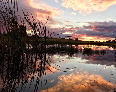 Madigan Wine Country Cottages - Accommodation 4U 16