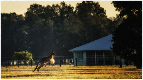 Madigan Wine Country Cottages - Accommodation 4U 5