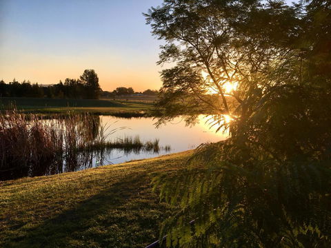 Madigan Wine Country Cottages - Accommodation 4U 17