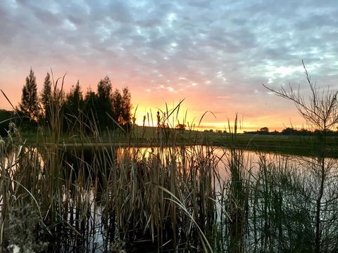 Madigan Wine Country Cottages - Accommodation 4U 14