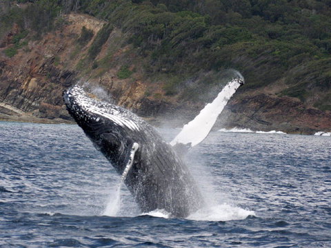 Braemar 9 - Accommodation 4U 8