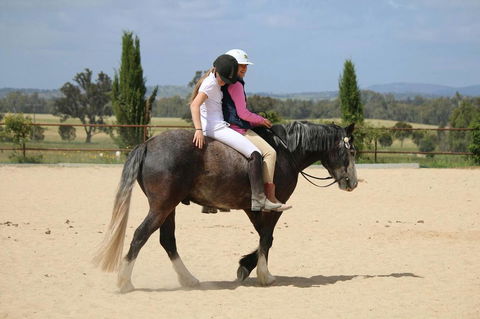 Belisi Farmstay Cottage - Accommodation 4U 28