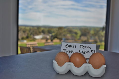 Belisi Farmstay Cottage - Accommodation 4U 20