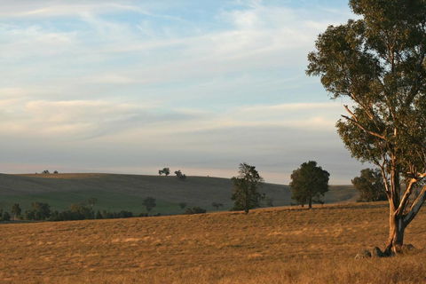 Belisi Farmstay Cottage - Accommodation 4U 33