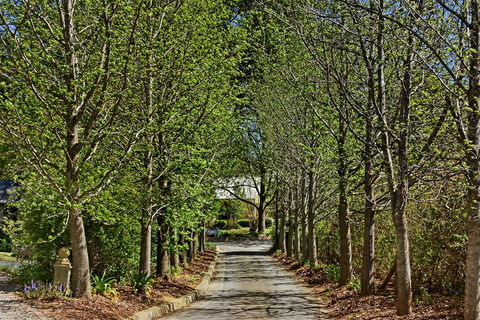 Bundanoon Lodge - Accommodation 4U 12